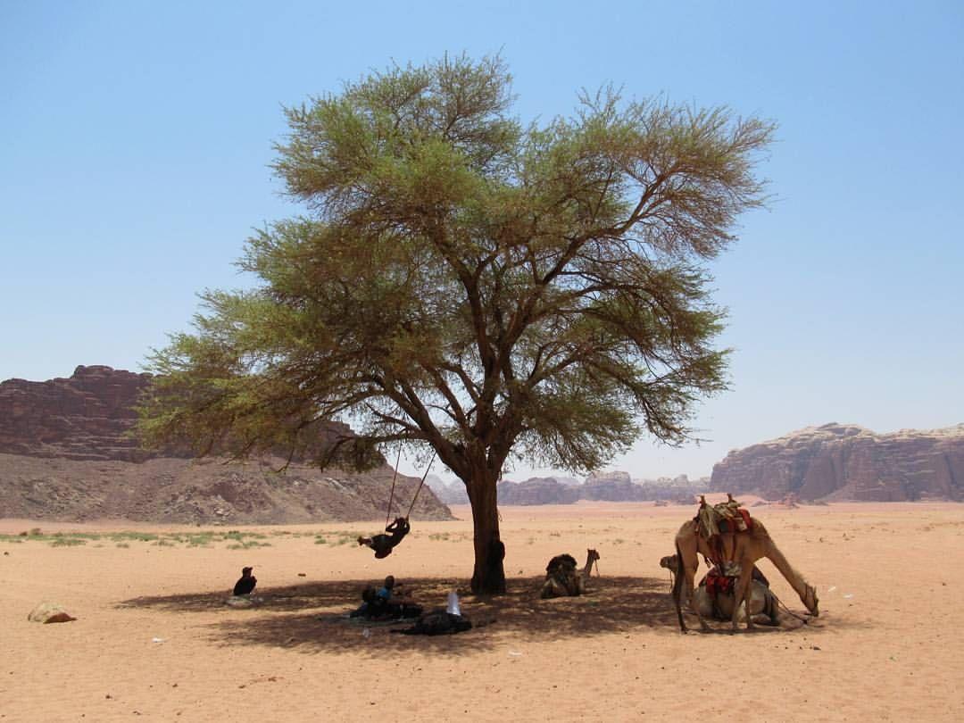 Climbers House In Wadi Rum Buitenkant foto